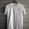 Hollister T Shirt