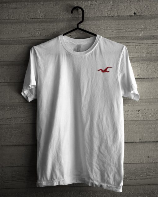 Hollister T Shirt