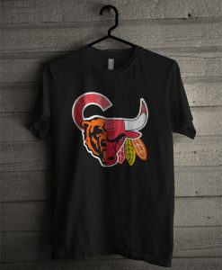 Chicago Sports Fan T Shirt