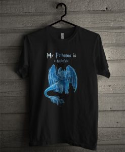 My Patronus Is A Nightfury T Shirt