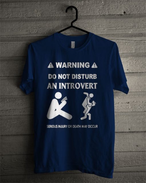 Warning Do Not Disturb An Introvert T Shirt