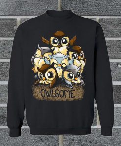 Owlsome Sweatshirt