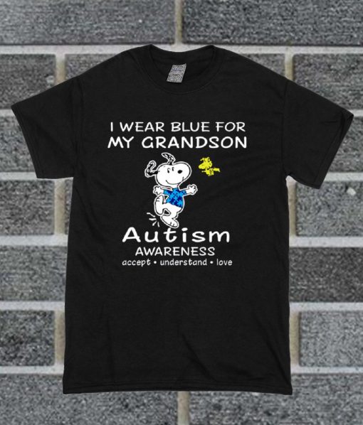 Snoopy And Woodstock I Wear Blue For My Grandson T Shirt