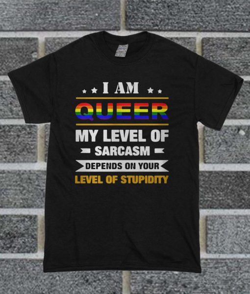 I Am Queer My Level Of Sarcasm T Shirt