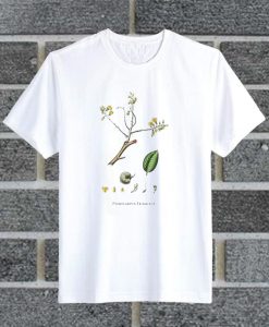 Pterocarpus Erinaceus T Shirt
