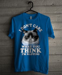 I Don't Care What You Think I'm Napping T Shirt