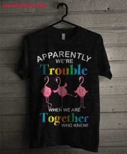 Apparently We're Trouble When We Are Together Who Knew T Shirt