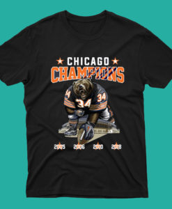 Chicago Bears NFC North Division Champion T Shirt