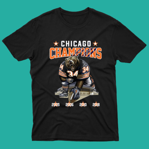 Chicago Bears NFC North Division Champion T Shirt