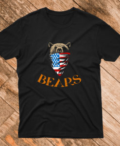 Chicago Bears nfc north champion T Shirt