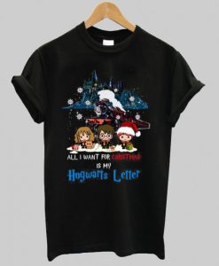 All I Want For Christmas Is My Hogwarts Letter Shirt qn